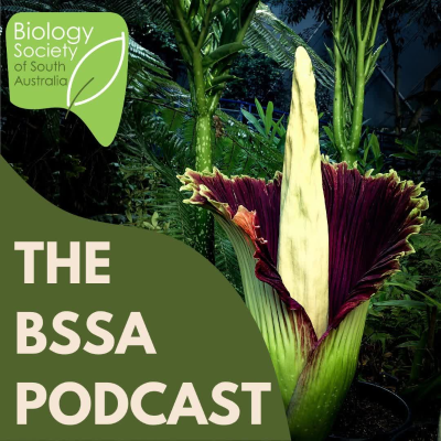 episode Ep. 20 - Matt Coulter & the Corpse Flower: Giants of Botanical Conservation artwork