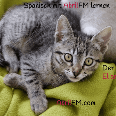 episode 166. Der Werbespot #32.Wortschatz artwork