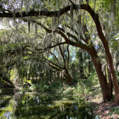 episode Hilton Head - Ideas for a Quick Trip artwork