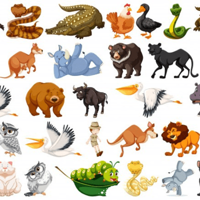 episode Animales Salvajes artwork