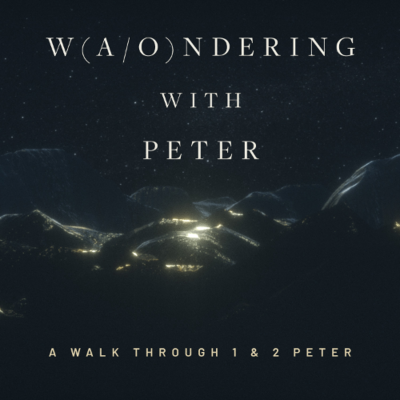 episode 1 Peter 1 - W(A/O)NDERING With Peter (Week 2) - Jason Frizzell artwork