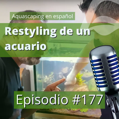 episode Ep 177 | El restyling que hicimos en el acuario plantado de Alan artwork