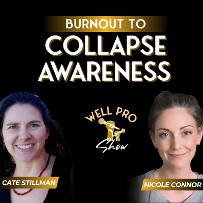 episode Burnout to Collapse-Awareness Resilience | Nicole Connor artwork