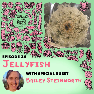 episode Jellyfish with Bailey Steinworth artwork