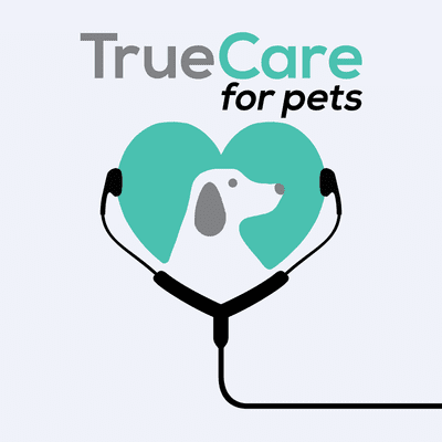 episode Do You Bring Home a Puppy When You Already Care for a Geriatric Dog? artwork