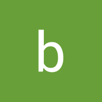 basvandenBerg2
