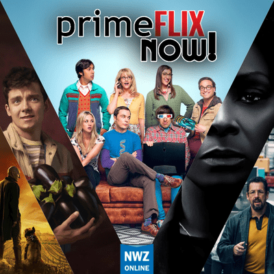episode PrimeFlix NOW! Ep.40: Sex Education, Star Trek: Picard, The Big Bang Theory, A Fall From Grace, Der schwarze Diamant, artwork