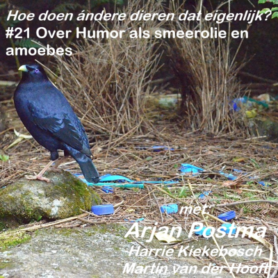 episode #21 Over humor als smeerolie en amoebes artwork