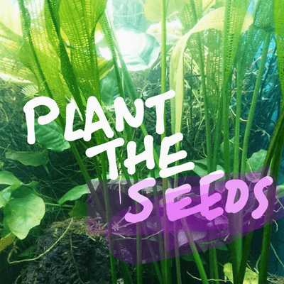 Plant the Seeds