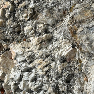 episode Episode 419: The Institute of Spectra-Sonic Sound 10.25.25 artwork