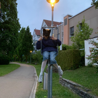 GenervteRabauke