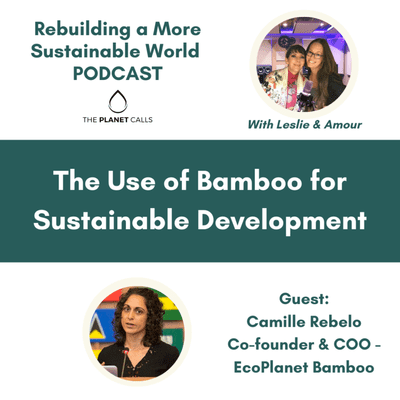 episode The Use of Bamboo for Sustainable Development artwork
