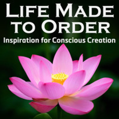 episode Life Made to Order#47: Law of Attraction: You're Kind of In Control but You're Kind of Not artwork
