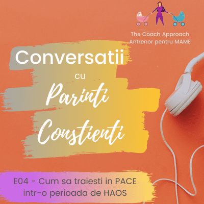 episode E04 - Cum iti gasesti pacea in haos artwork