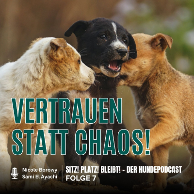 episode #7 Vertrauen statt Chaos - So gelingt der Einstieg in die Welpenstunde der Hundeschule artwork