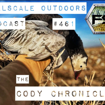 episode Cody Chronicles artwork