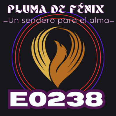 episode E0238 RECAPITULAR NOCHE A NOCHE artwork