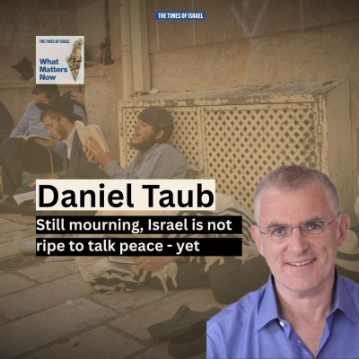 episode Day 665 - Daniel Taub: Still mourning, Israel is not ripe to talk peace - yet artwork