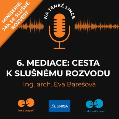 episode 6. MEDIACE: Cesta k slušnému rozvodu artwork