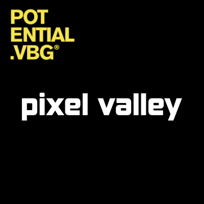 episode Pixel Valley artwork