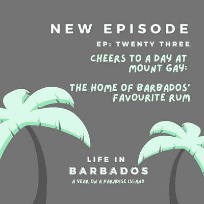 episode Barbados famous Mount Gay rum: Yvonne tours the home of the paradise island's oldest and most popular rum artwork