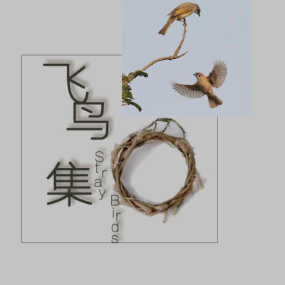 episode 第三百二十二篇 artwork