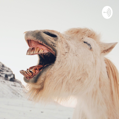 Imagen de portada del programa Laugh Plug