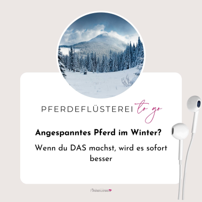 episode Warum dein Pferd im Winter plötzlich bockt (und es ist nicht, was du denkst) artwork