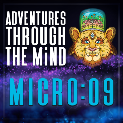 episode MICRO:09 - The Fungi Kingdom and the Life Cycle of Mushrooms, Alex Dorr artwork