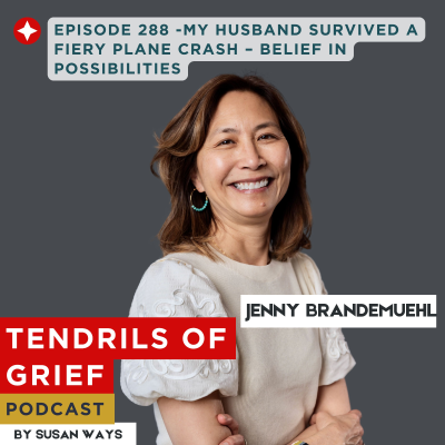 episode My Husband Survived a Fiery Plane Crash – Belief in Possibilities artwork