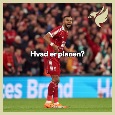 episode Hvad er planen? artwork