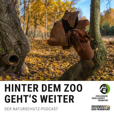 episode Deutschlands größte Wildnis: Wie Brandenburg zum Vorbild wurde artwork