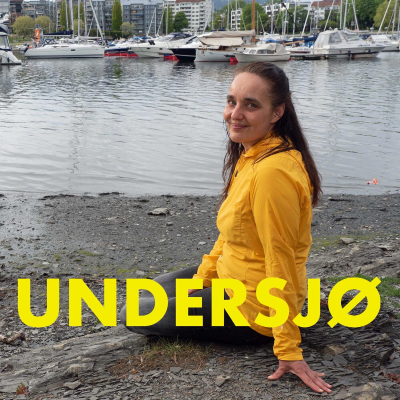 episode Undersjø: Elin Tanding Sørensen artwork