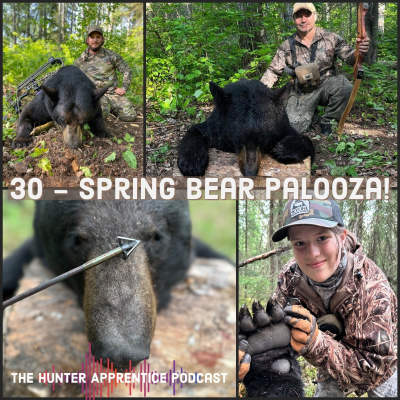 episode #30 - Spring Bear PALOOZA! artwork
