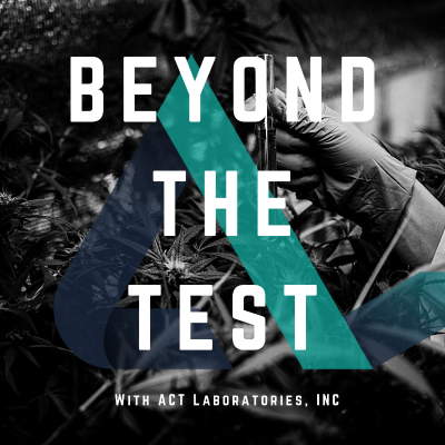 Beyond The Test