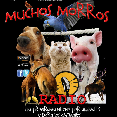 Muchos Morros