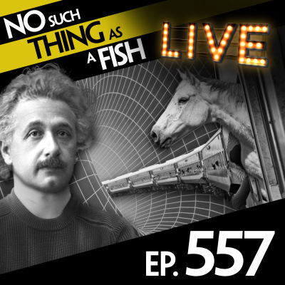 episode 557: No Such Thing As A Sweater For Einstein artwork