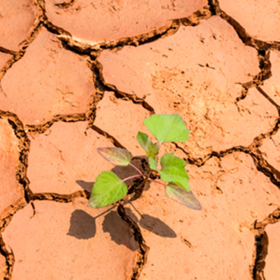 episode EU: Rechte und Konservative gefährden Klimaziele artwork