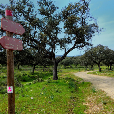 episode La hora rándom: Así hacía turismo por España un príncipe del Barroco artwork