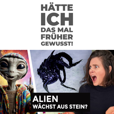 episode Alien wächst aus Stein? artwork