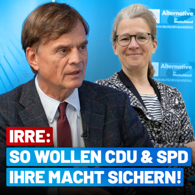 episode Ann-Katrin Kaufhold muss verhindert werden! Interview mit Dr. Bernd Baumann artwork