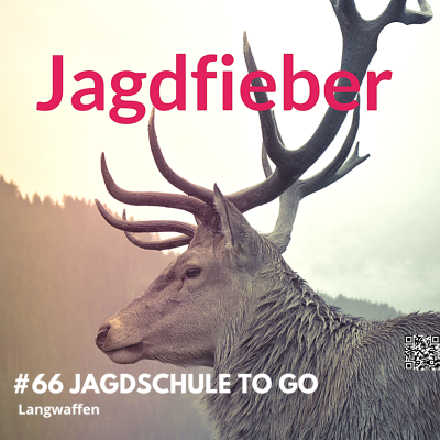 episode #66 Jagdschule to go Langwaffen artwork