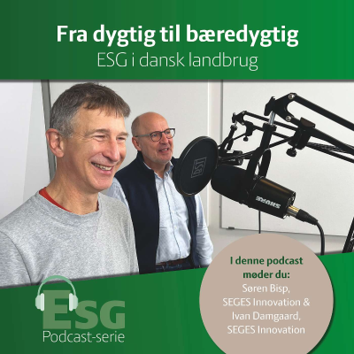 episode Fra dygtig til bæredygtig #3 – ESG som en del forretningen artwork