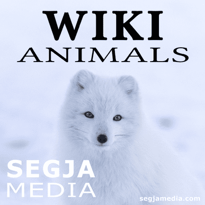 Wiki Animals