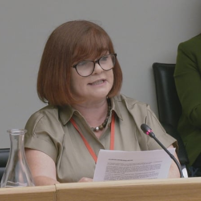 episode Reaction to CHI at the Oireachtas Committee artwork