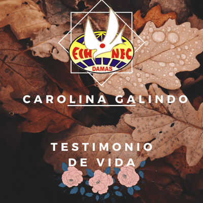 episode Episodio #6 Carolina Galindo, Damas FIHNEC, Capítulo Merendon S. P. S artwork