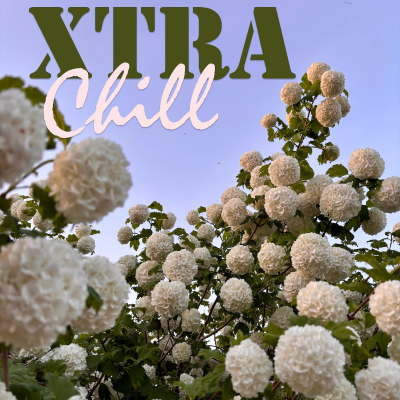 episode XtraChill 438 artwork