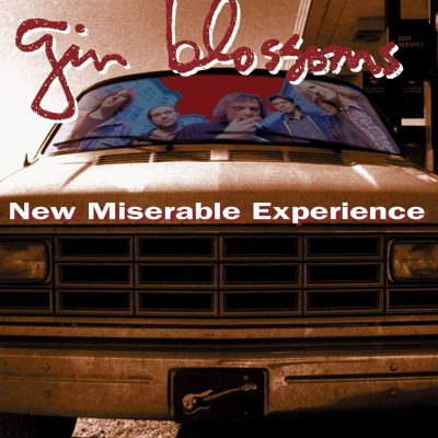 episode Interview: Gin Blossoms Singer Robin Wilson - In Depth Chat on Band History, New Miserable Experience & Touring in 2024 artwork