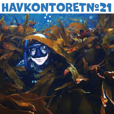 episode Havkontoret 21 - Pia Ve Dahlen artwork