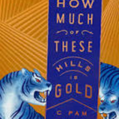 The Avid Reader Show - How Much Of These Hills Is Gold C. Pam Zhang